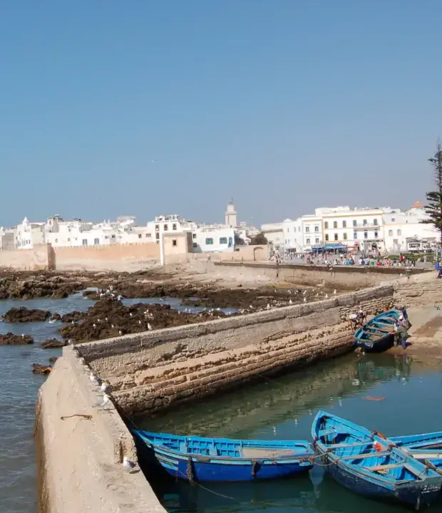 Immo Essaouira