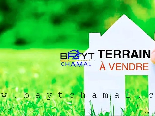 قطعة أرض للبيع في طنجة - من الجولف: 2000م² من الفرص