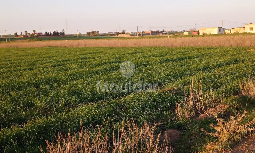 أرض محفظة للشراء لاستغلال زراعي