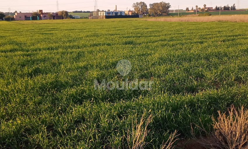 أرض محفظة للشراء لاستغلال زراعي