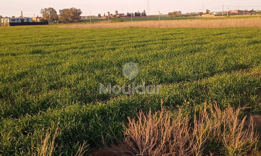 أرض محفظة للشراء لاستغلال زراعي