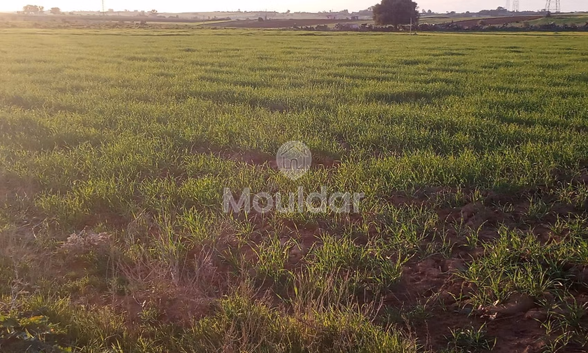 أرض محفظة للشراء لاستغلال زراعي