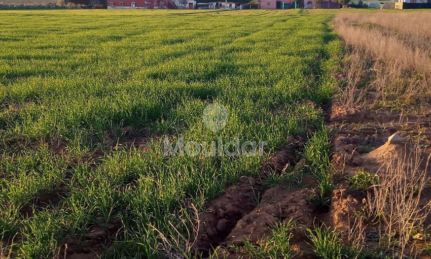 أرض محفظة للشراء لاستغلال زراعي