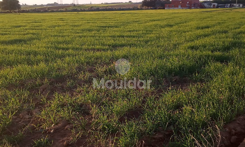 أرض محفظة للشراء لاستغلال زراعي