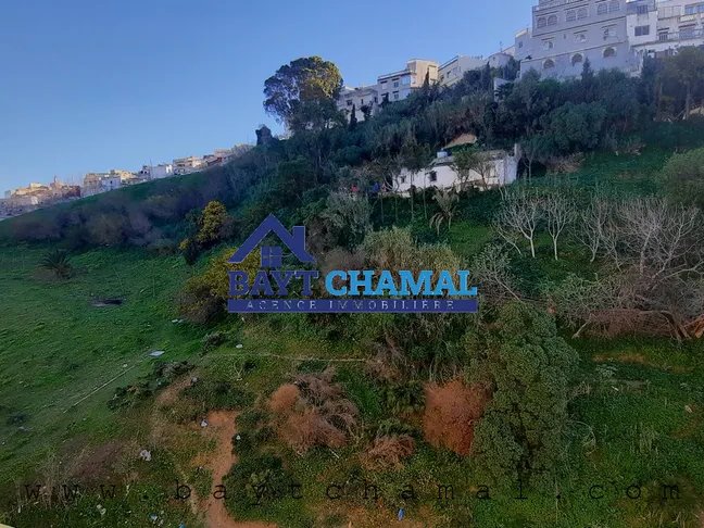 Charmant appartement te huur in het hart van Tanger - view 9