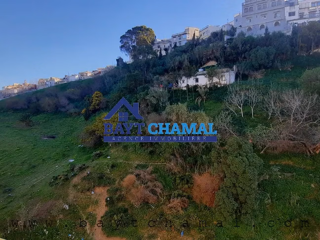 Encantador Apartamento en Alquiler en el Corazón de Tánger