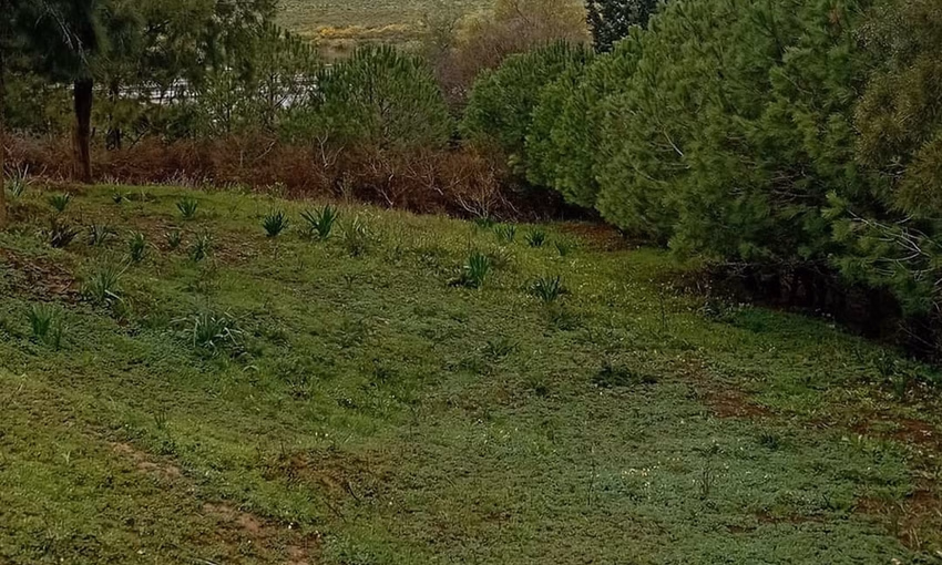 Ferme à vendre avec terrasse Ferme à vendre avec terrasse