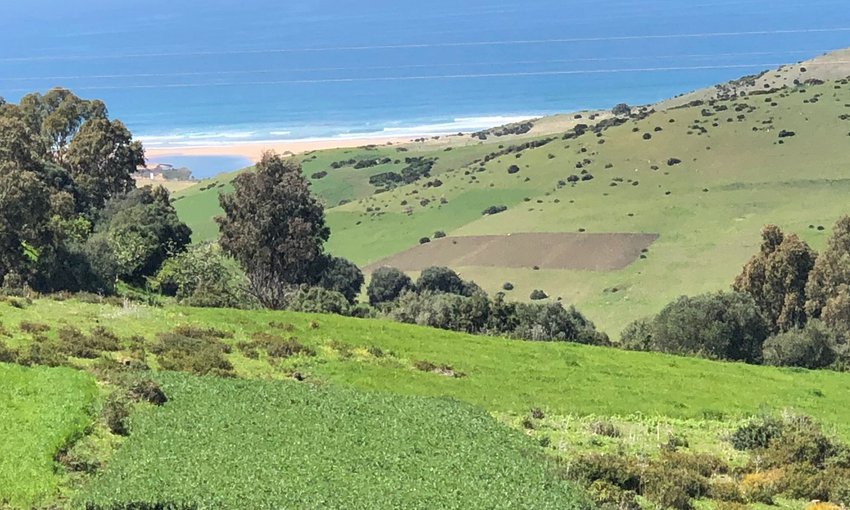Land for sale - view 2