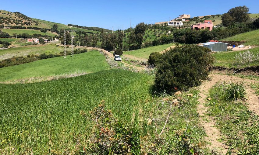 Land for sale - view 4