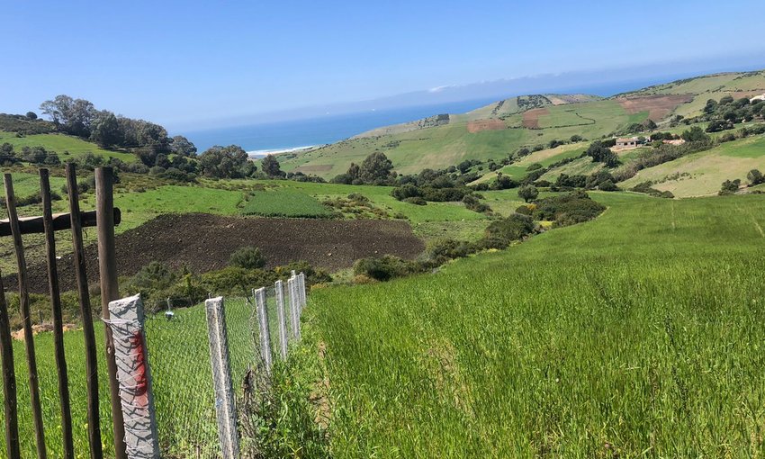 Land for sale - view 3
