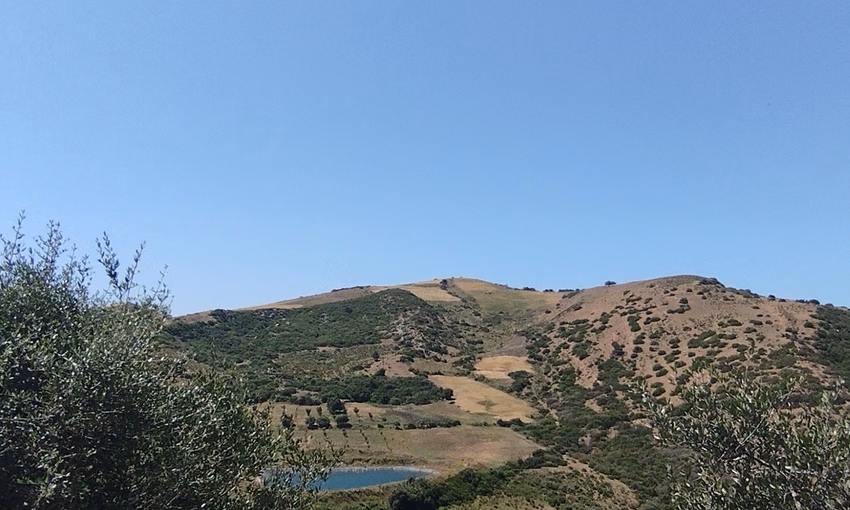 Land for sale for agricultural use Land for sale for agricultural use