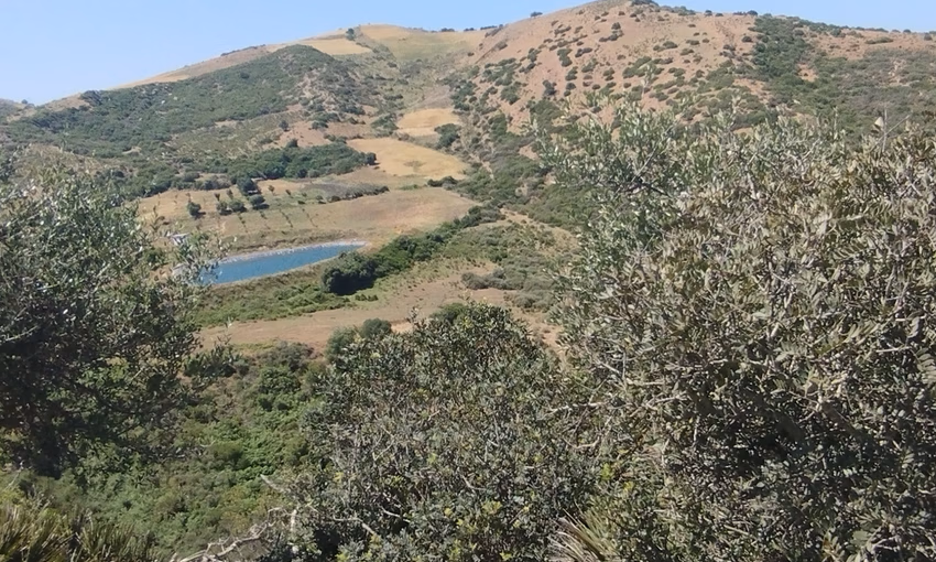 Land for sale for agricultural use