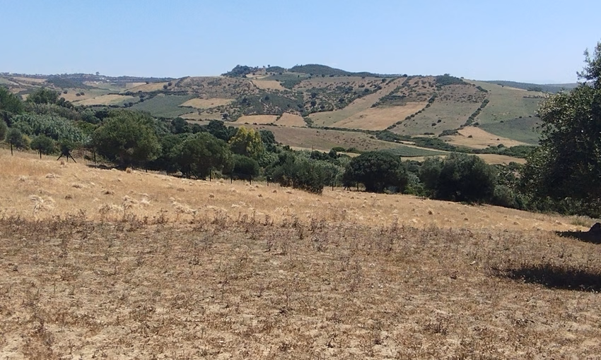 Land for sale for agricultural use Land for sale for agricultural use