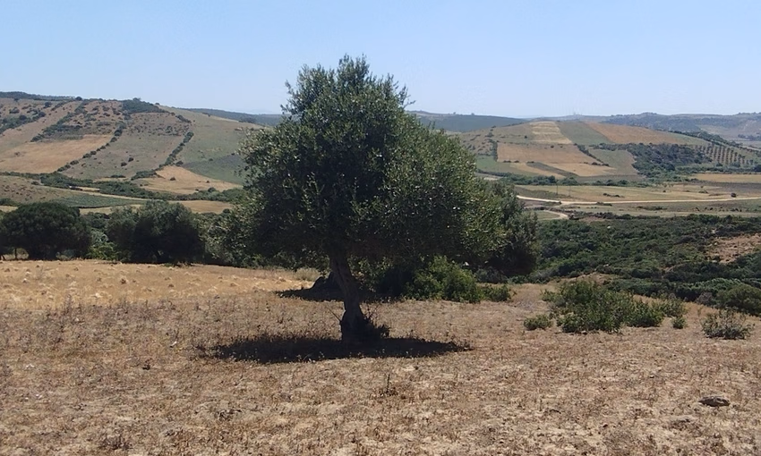 Land for sale for agricultural use Land for sale for agricultural use