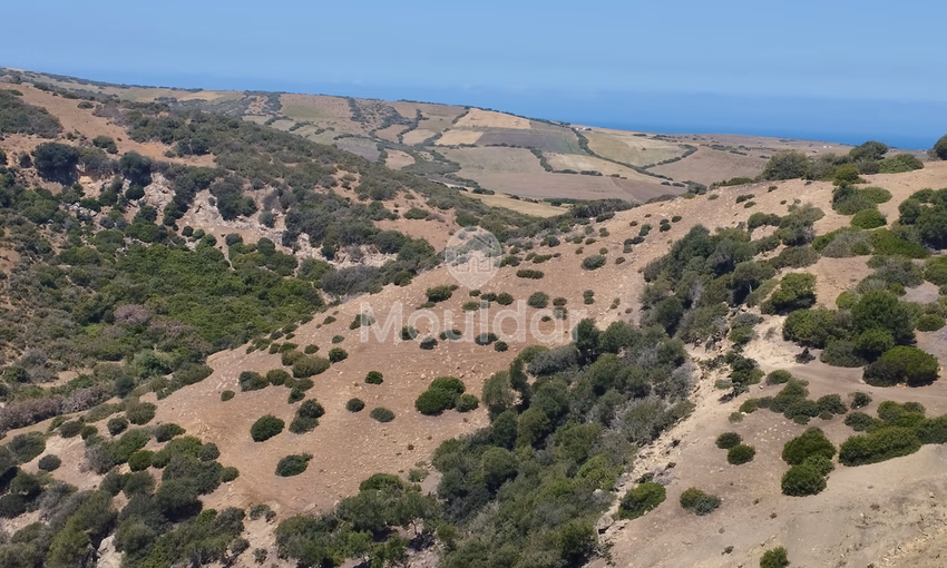 Land for sale for agricultural use Land for sale for agricultural use