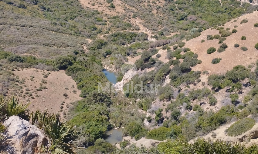 Land for sale for agricultural use Land for sale for agricultural use