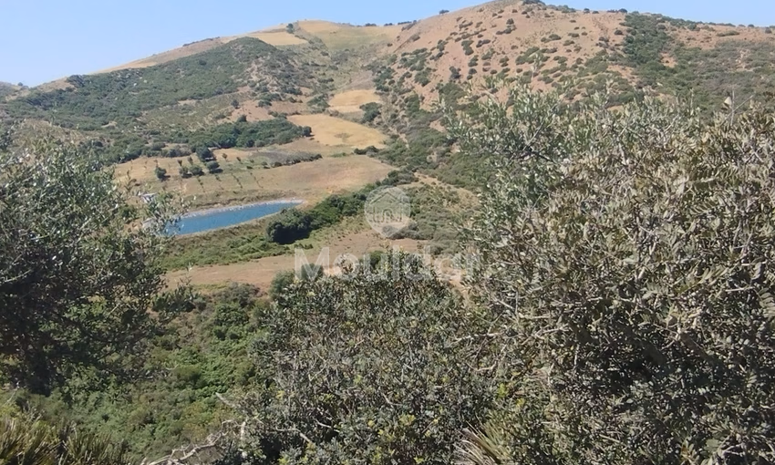 Land for sale for agricultural use