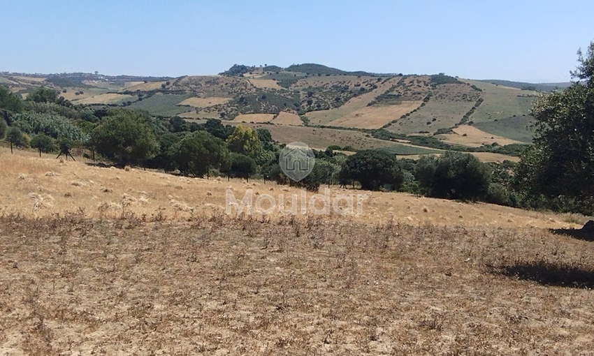 Land for sale for agricultural use Land for sale for agricultural use