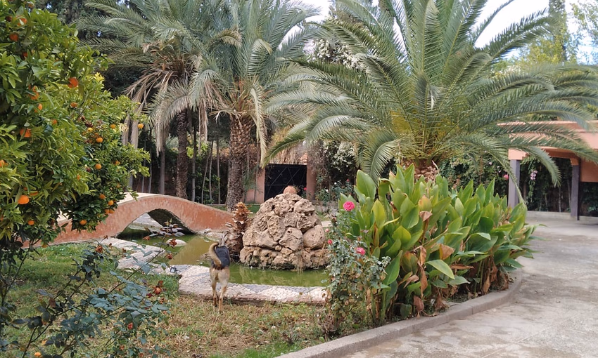 Huis te koop met terras