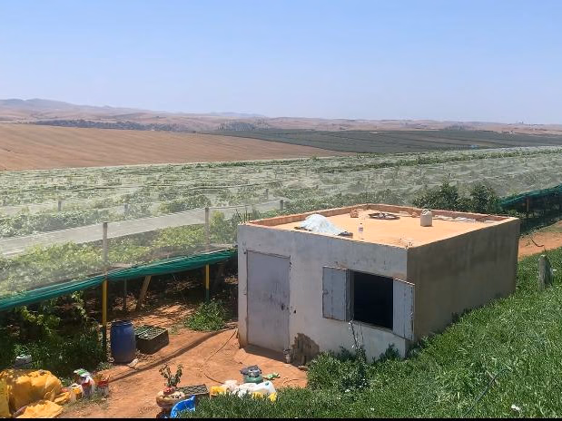 مزرعة للبيع