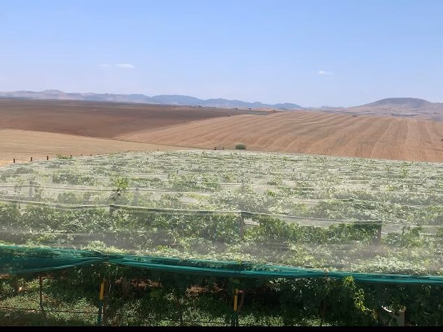 مزرعة للبيع