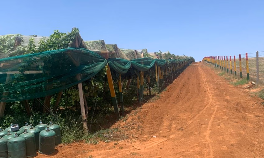 مزرعة للبيع