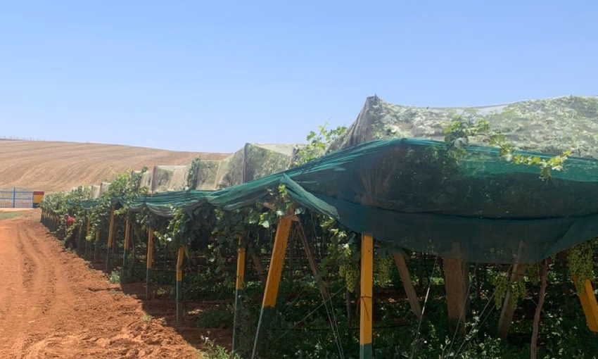 مزرعة للبيع