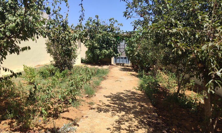 Villa for rent with terrace - view 5