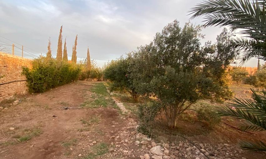 أرض للبيع - view 10