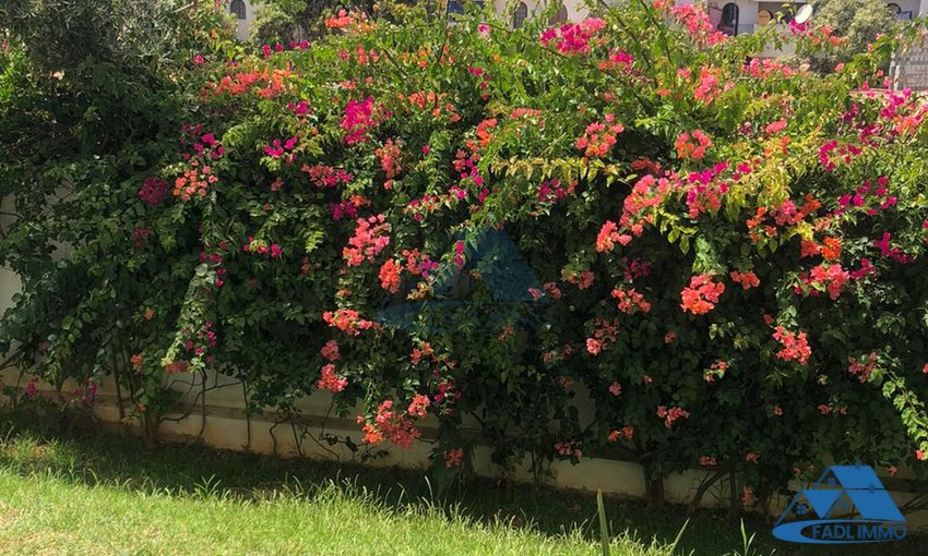 Appartement à vendre avec terrasse