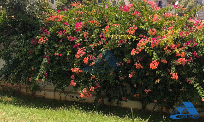 Appartement à vendre avec terrasse