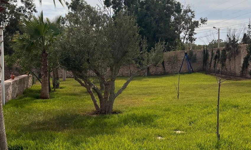 فيلا فخمة مع مسبح في الصويرة - view 46