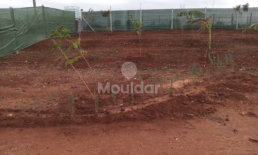 أرض محفظة للشراء