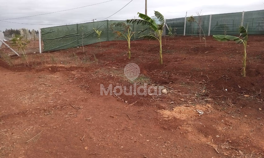 أرض محفظة للشراء