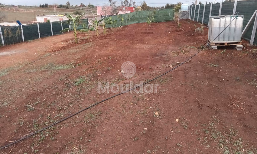 أرض محفظة للشراء