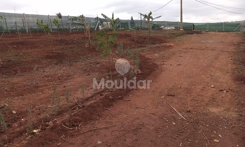 أرض محفظة للشراء