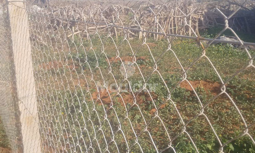 أرض للشراء أرض للشراء