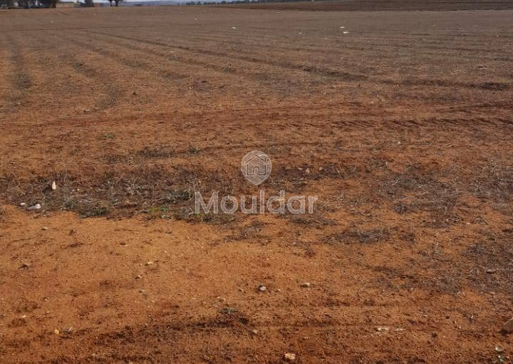 أرض للشراء لاستغلال زراعي