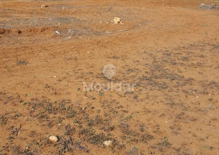 أرض للشراء لاستغلال زراعي