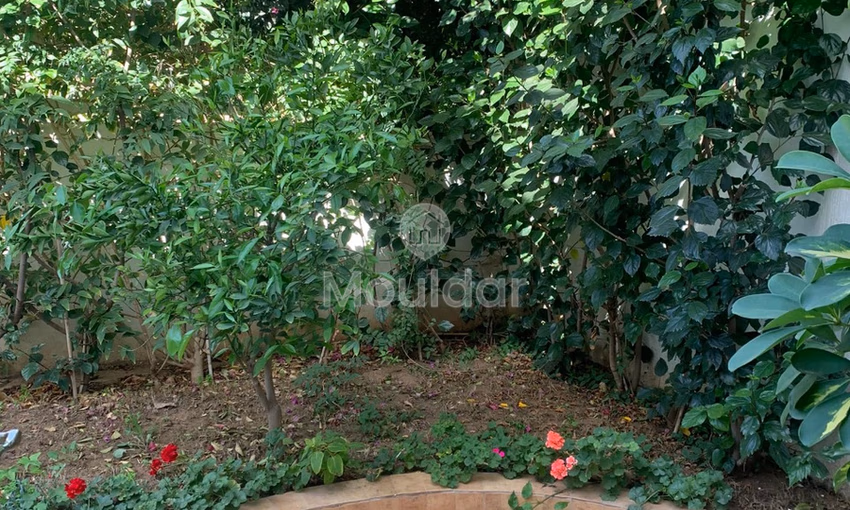 Villa en alquiler con terraza Villa en alquiler con terraza