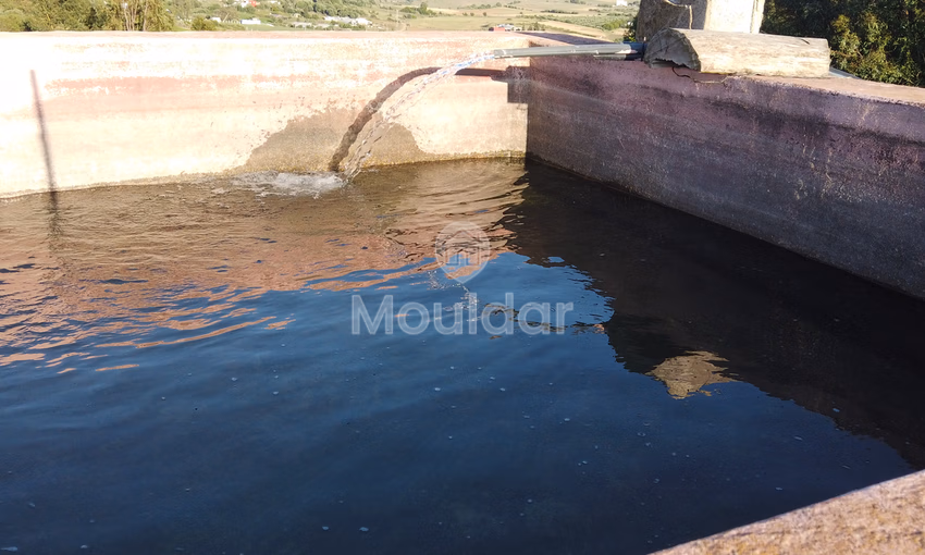 Titled farm for sale for agricultural use Titled farm for sale for agricultural use