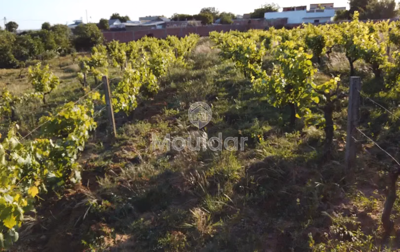 Titled farm for sale for agricultural use