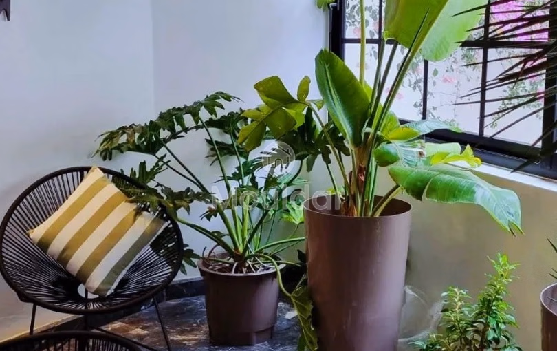 Estudio en venta con terraza en el primer piso Estudio en venta con terraza en el primer piso