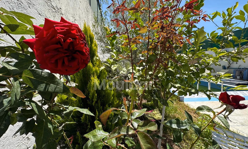 Villa for buy with swimming pool Villa for buy with swimming pool