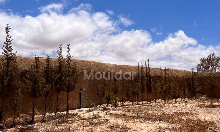 Maison Exceptionnelle à Essaouira : Vivez l'Art de Vivre Maison Exceptionnelle à Essaouira : Vivez l'Art de Vivre