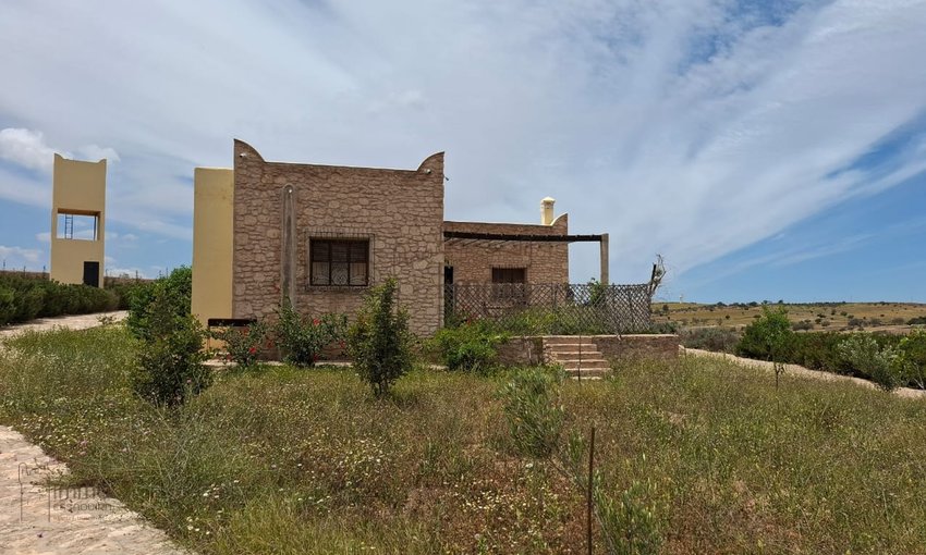 منزل استثنائي في الصويرة: عيشوا فن الحياة