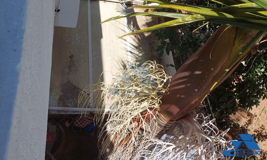 فيلا للبيع مع تراس و ثلاثة طوابق فيلا للبيع مع تراس و ثلاثة طوابق