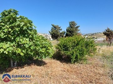 أرض محفظة للبيع لبناء فيلا - view 4