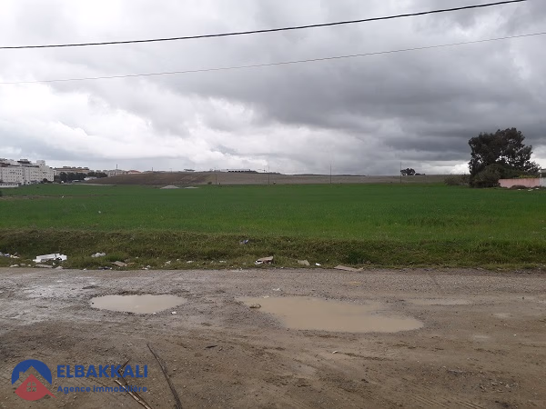 Terrain titré en lotissement à vendre Terrain titré en lotissement à vendre