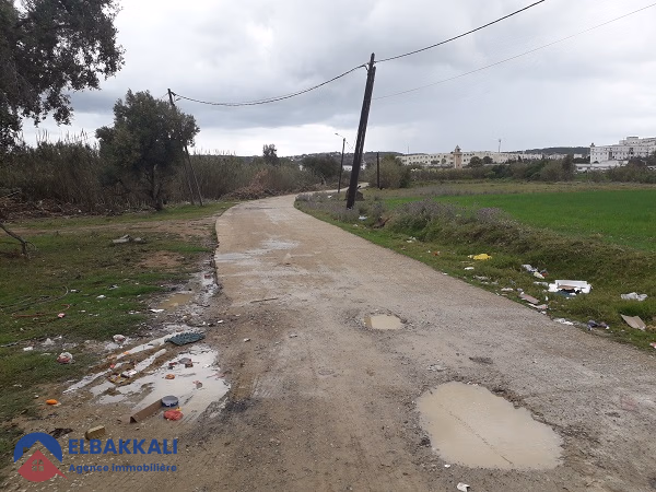 Terrain titré en lotissement à vendre Terrain titré en lotissement à vendre